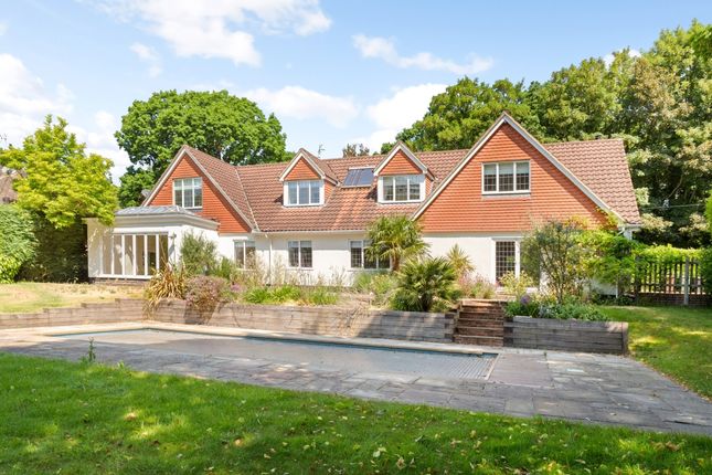 Thumbnail Detached house to rent in Holmewood Ridge, Langton Green, Tunbridge Wells