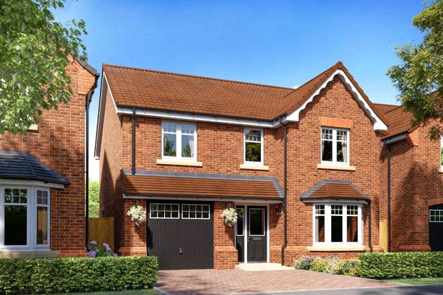 Thumbnail Detached house for sale in Tree Hollow Place, Wickersley, Rotherham, South Yorkshire