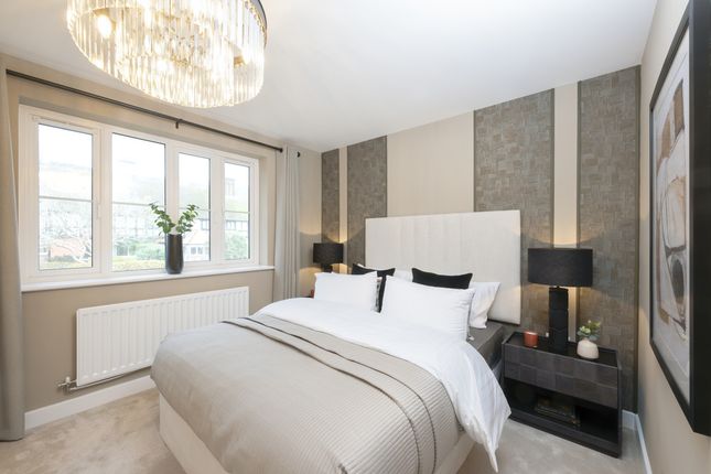 Bp-The-Hazel-Feb2025-012-Ret_7227877