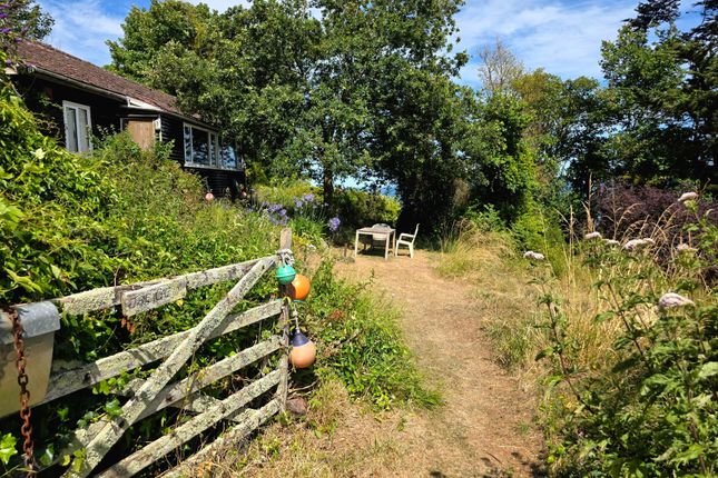 The Cabin Steep Hill, Torquay photo 2