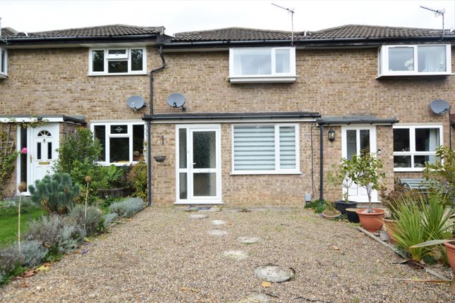 Thumbnail Property to rent in Ecton Walk, Old Catton, Norwich