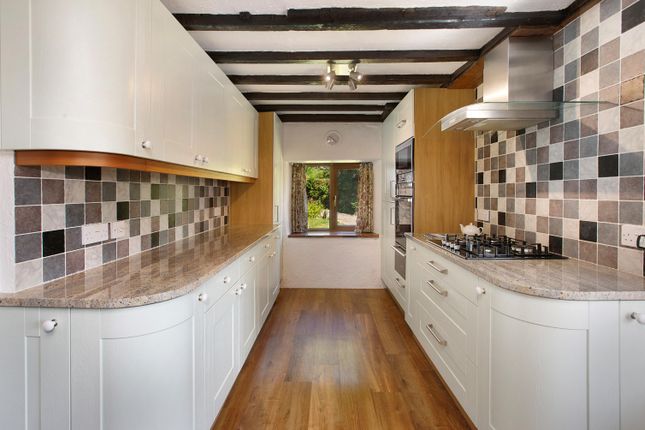 Hexworthy, Yelverton photo 4