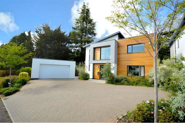 Thumbnail Detached house for sale in Regency Drive, Exeter