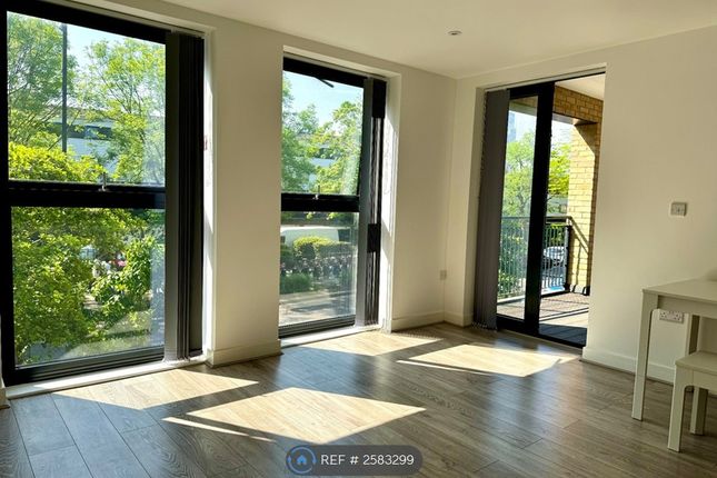 Beautiful Soft Lighting From South Facing Windows