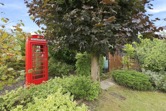 13, Broadhurst Road, Norwich photo 2