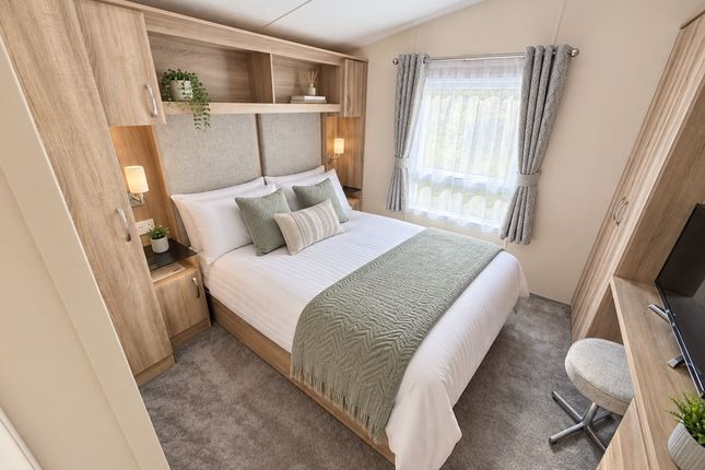 Europa Willow, Marsh Road, Lowestoft photo 4
