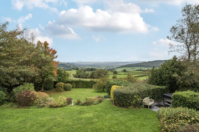 1361387-19-68Dd48...