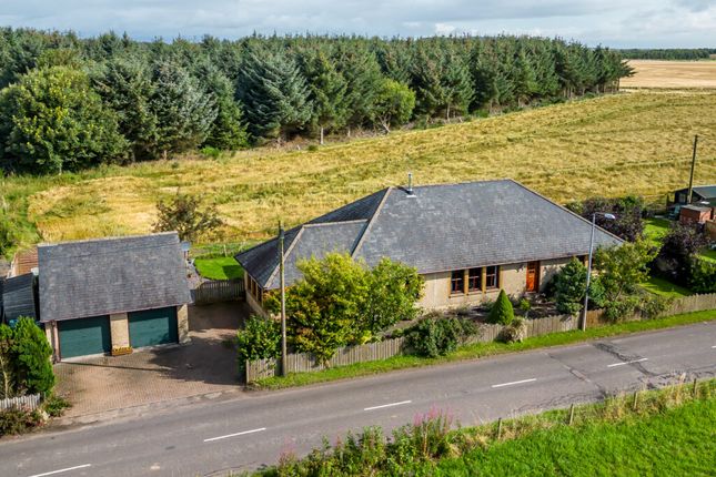 Thumbnail Detached bungalow for sale in Kirkbuddo, Forfar