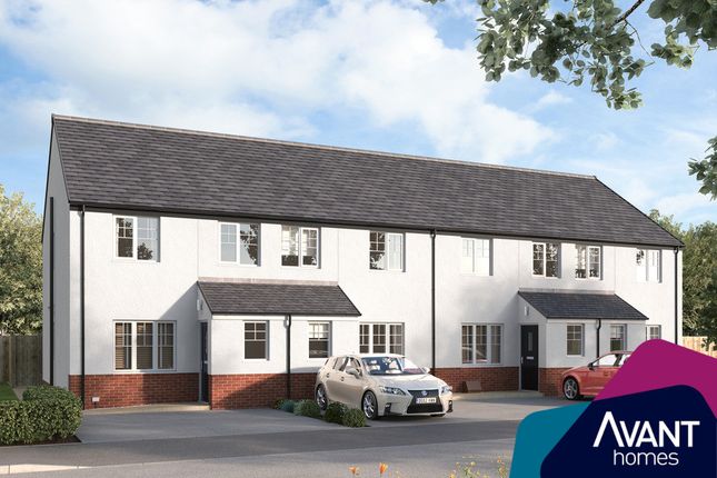 Thumbnail Terraced house for sale in "The Elmwood" at Boar Stone View, Armadale, Bathgate