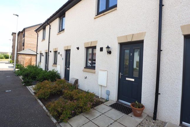 Thumbnail Terraced house to rent in St Aidens Road, Edinburgh