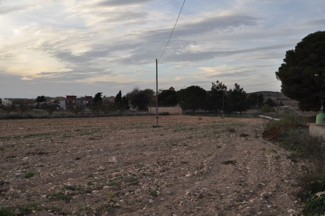 Land for sale in 30529 Cañada Del Trigo, Murcia, Spain