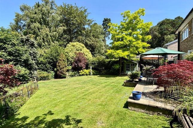 11, Fern Close, Camberley photo 3