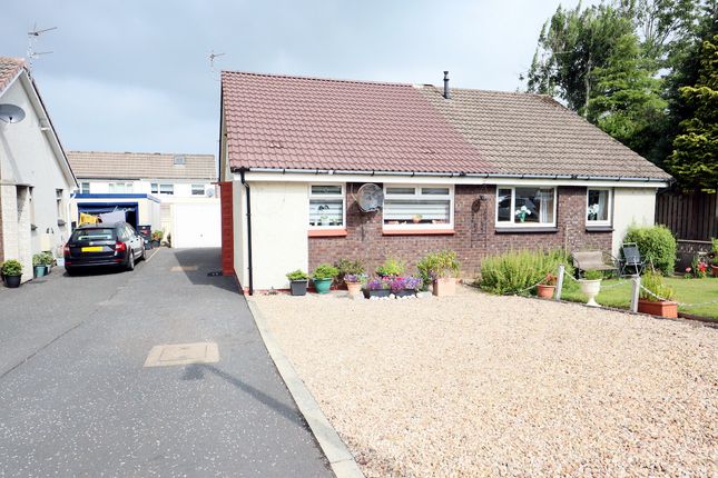Thumbnail Semi-detached bungalow for sale in Cairn Terrace, Ayrshire