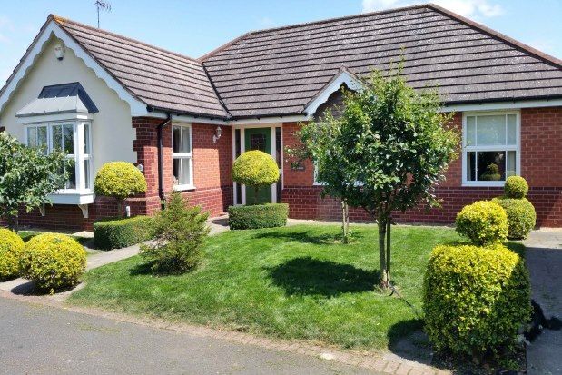 Thumbnail Bungalow to rent in Tyne Drive, Evesham