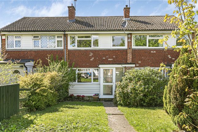 Thumbnail Terraced house for sale in Grange Road, Guildford, Surrey