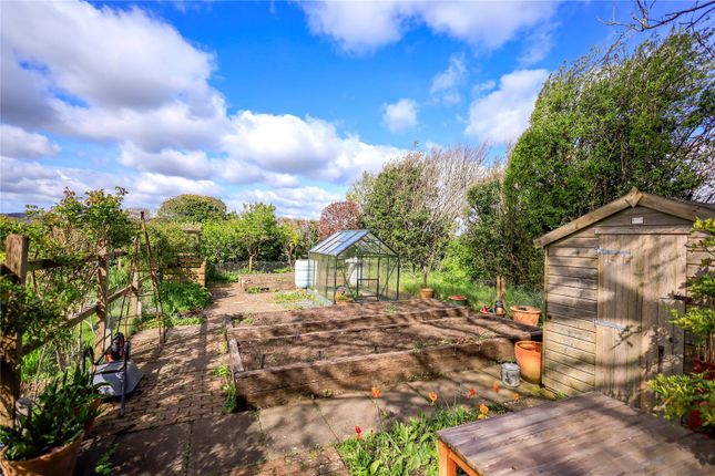 Bungalow for sale in Wellingham Lane, Ringmer, Lewes, East Sussex