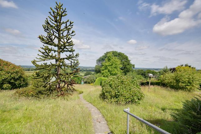 Midget Lodge, Dixter Lane, Northiam, Rye photo 2