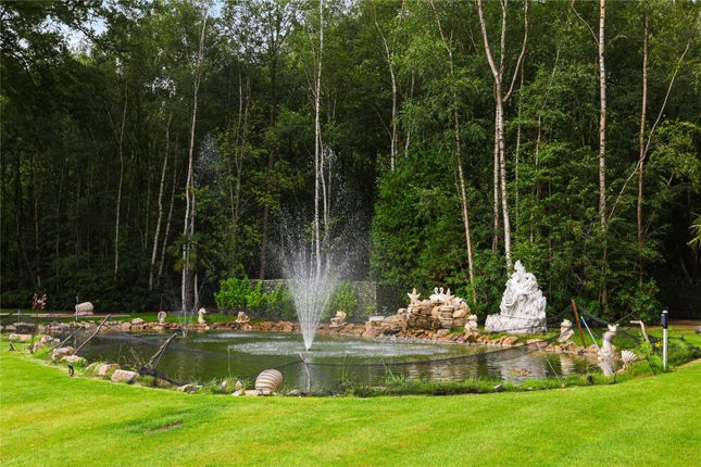 Ornamental Pond