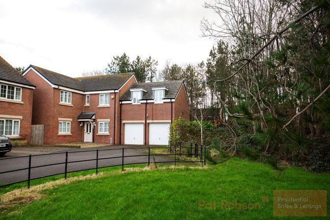 19, Hawkins Way, Blyth photo 2