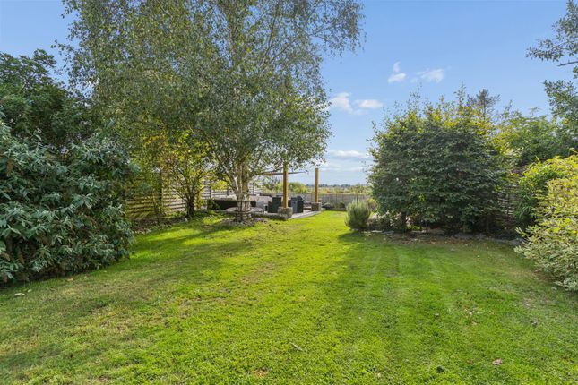 Plough Cottage, 123, High Street North, Buckinghamshire photo 4