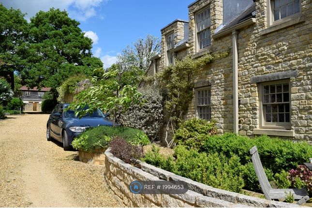 Semi-detached house to rent in Sycamore Grove, Oundle
