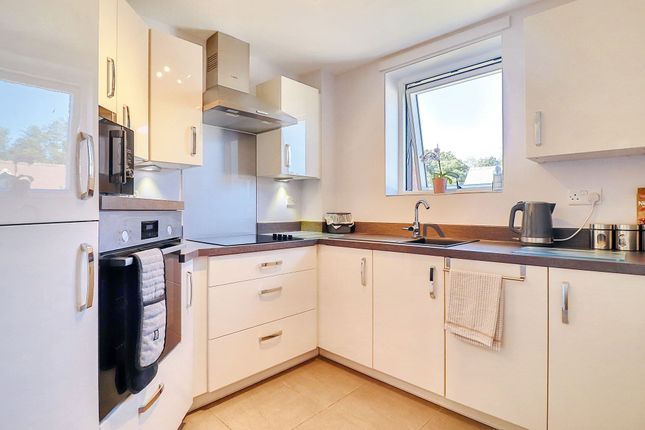 21 Tyefield Place, Ipswich photo 4