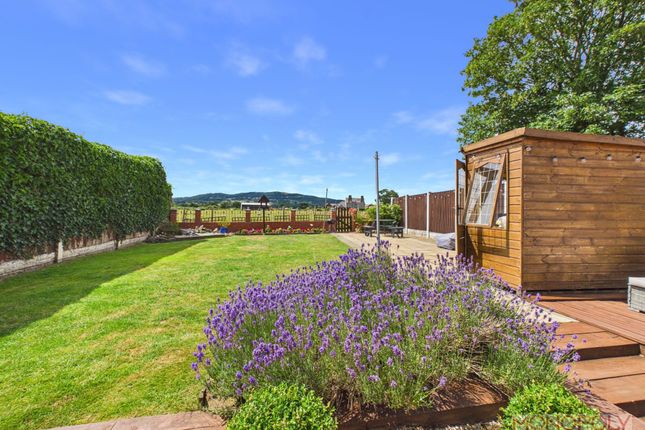 14 Ffordd Gryffydd, Wrexham photo 3