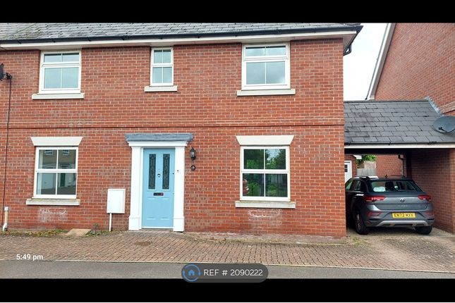 Thumbnail Semi-detached house to rent in Steed Crescent, Colchester