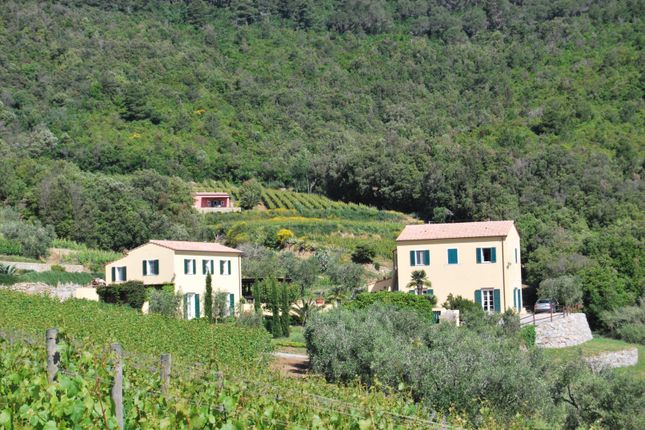 Villa for sale in Portoferraio, Elba Island, Tuscany, Italy