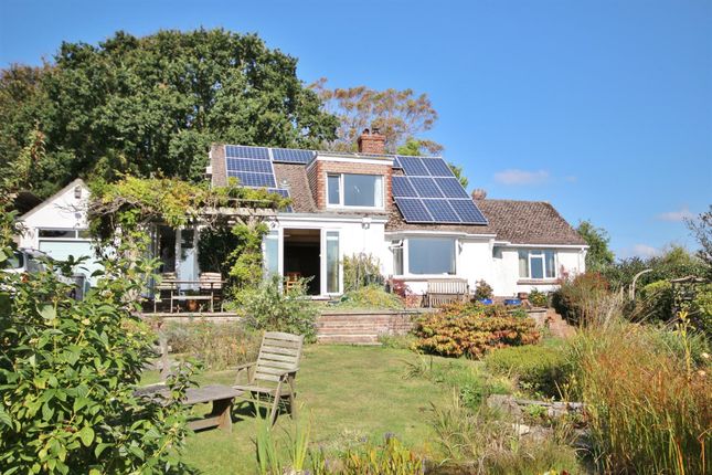 Homes For Sale In Coram Avenue Lyme Regis Dt7 Buy Property In