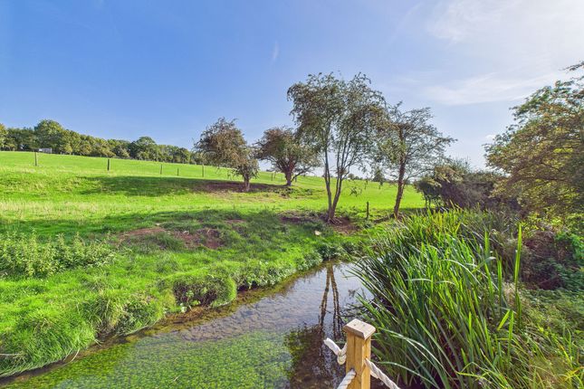 River View