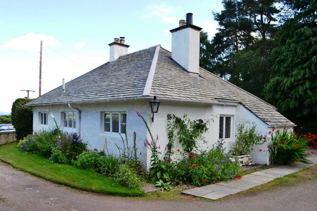 Thumbnail Cottage to rent in Nairn