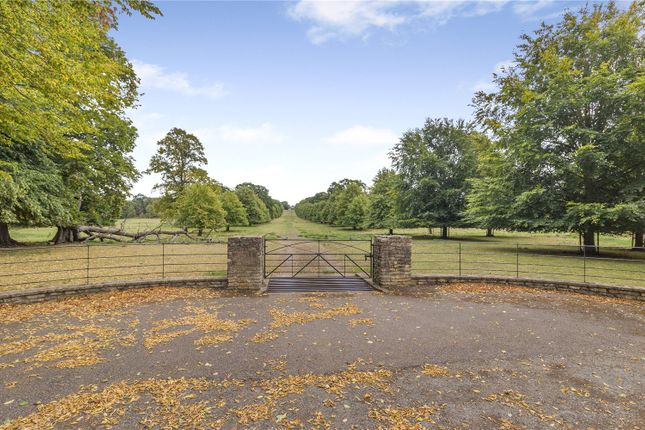 Front Drive