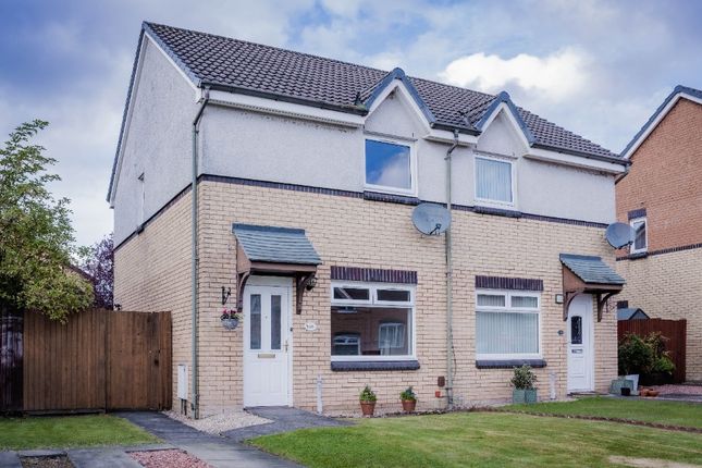 Thumbnail Semi-detached house to rent in Sauchie Street, St. Ninians, Stirling