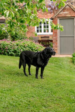 Lower House Farm, Stockton Road, Stockton-on-Teme photo 4