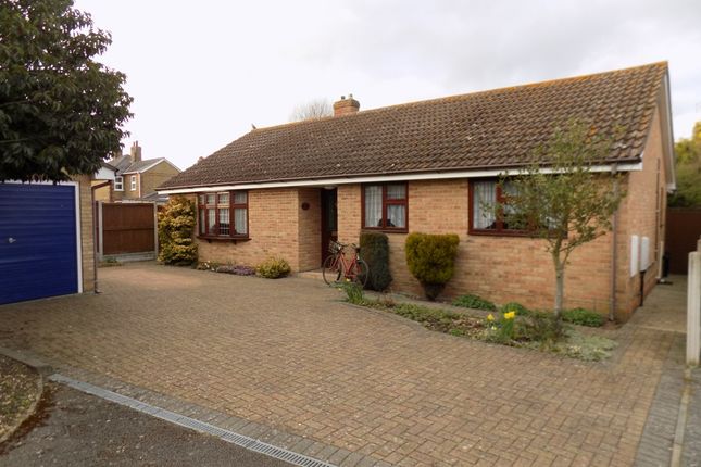 Thumbnail Bungalow to rent in Queens Road, Earls Colne