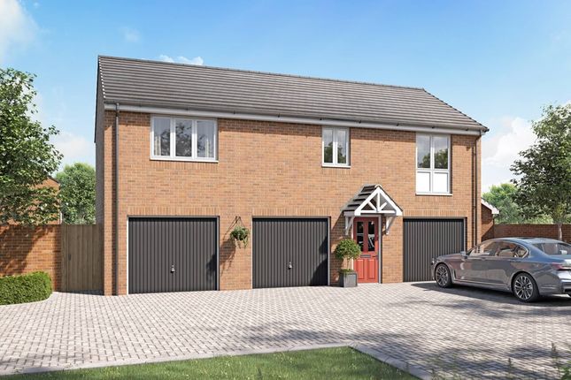 Thumbnail Duplex for sale in "The Newdale - Plot 337" at Younghayes Road, Cranbrook, Exeter