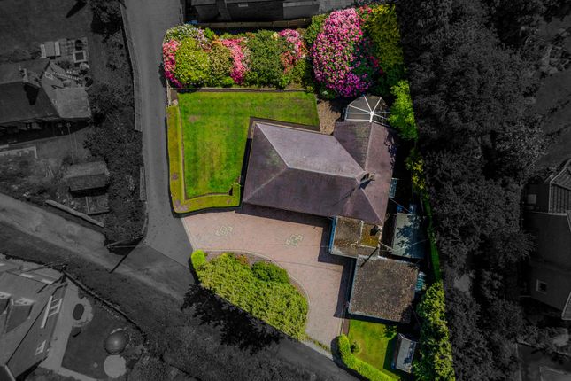 The Bungalow, Saddlers Wells, Tarporley photo 2