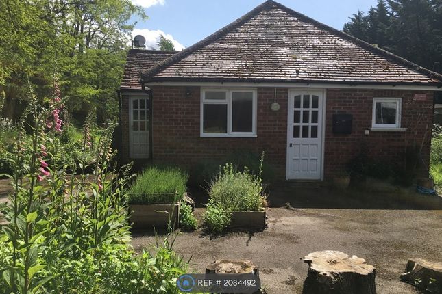 Thumbnail Bungalow to rent in Eversley, Hook