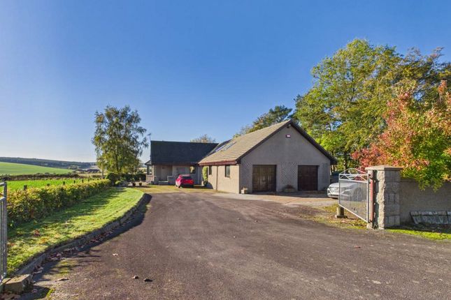 Auchterless, Turriff photo 2