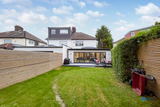 Back Garden/Patio