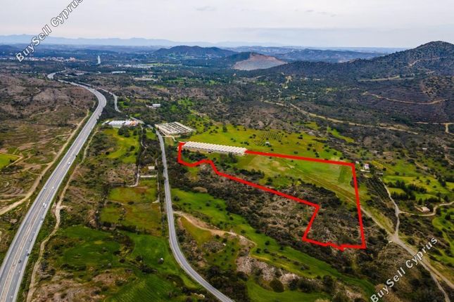 Land for sale in Kornos, Larnaca, Cyprus