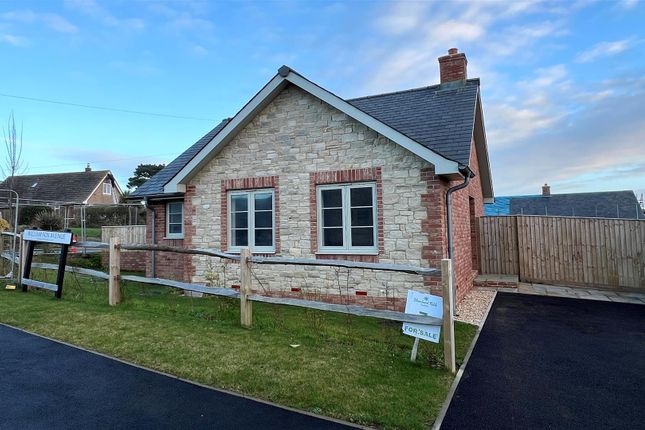Thumbnail Detached bungalow for sale in William Fox Avenue, Brighstone, Newport