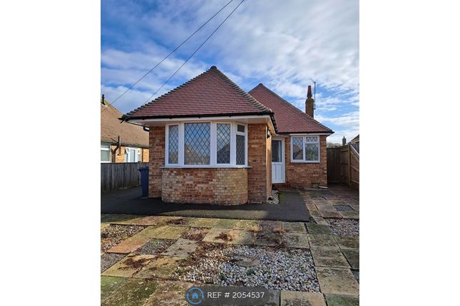 Thumbnail Bungalow to rent in Windmill Road, Polegate
