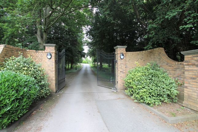 Raywell, Cottingham photo 5