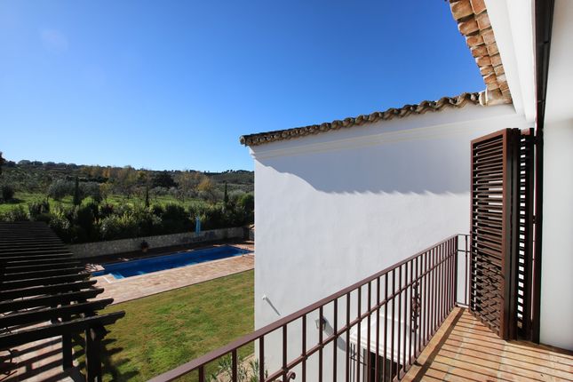 Land for sale in Ronda, Andalucia, Spain
