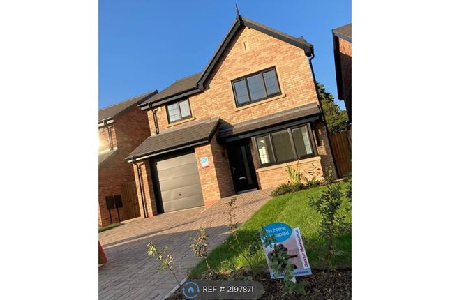 Thumbnail Detached house to rent in Knotting Road, Langley, Macclesfield