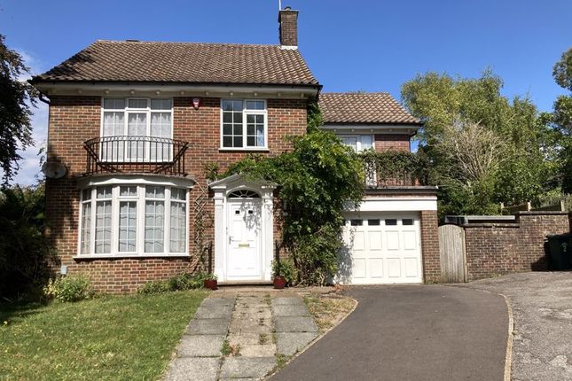 Thumbnail Detached house to rent in Whittingehame Gardens, Brighton