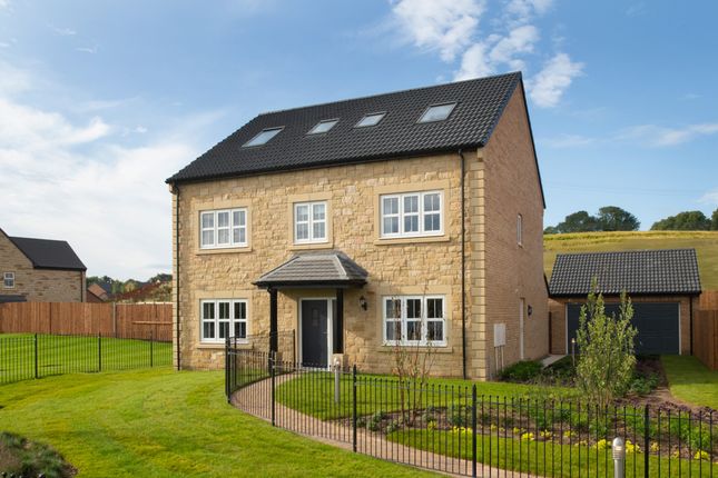 Thumbnail Detached house for sale in "Sutton" at Alnmouth Road, Alnwick