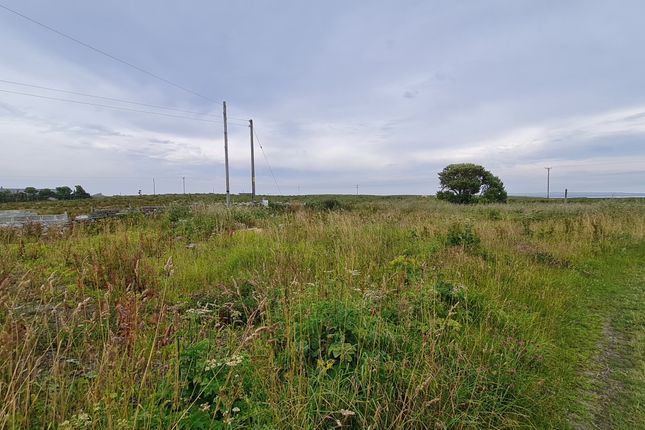 Land for sale in Whitehall, Stronsay, Orkney